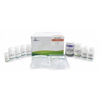 Beniprep®  Super Plant Nucleic acid extraction kit