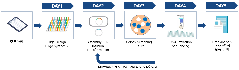 Gene Synthesis Service