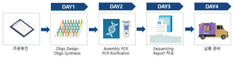 Gene Fragment Synthesis Service