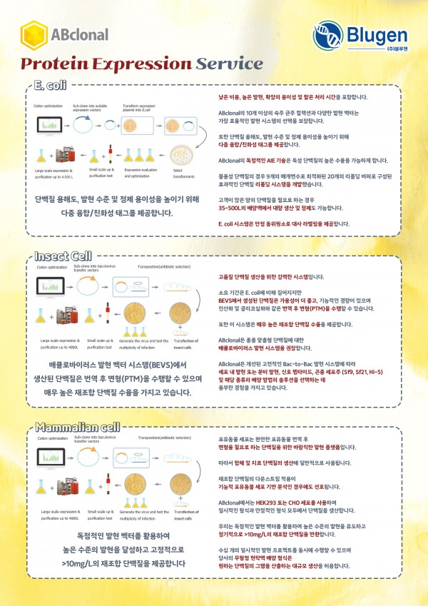 Protein Expression Service